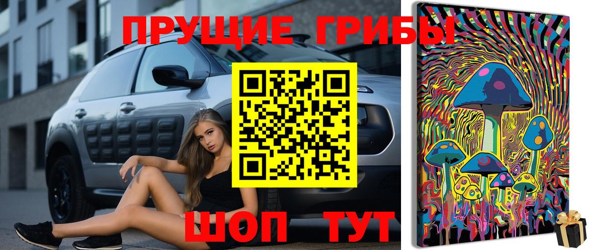 Озёрск  Галлюциногенные грибы Psilocybine cubensis  Вход с VPN  наркошоп  Галлюциногенные грибы ЛСД 